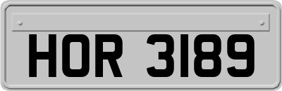 HOR3189