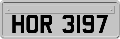 HOR3197