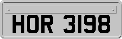 HOR3198