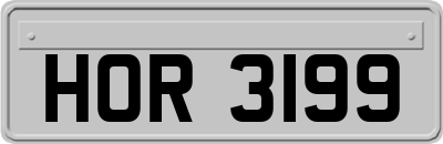 HOR3199