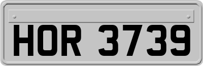 HOR3739