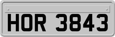 HOR3843