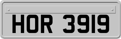 HOR3919