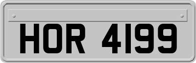 HOR4199