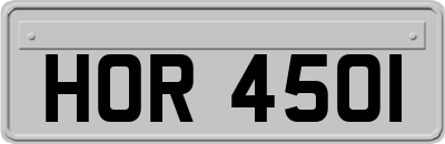 HOR4501