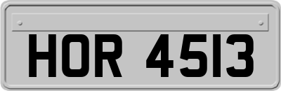 HOR4513