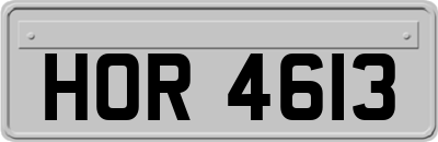 HOR4613