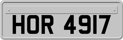 HOR4917