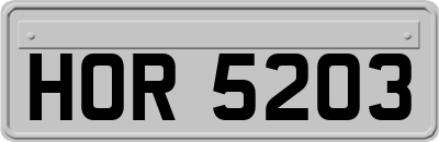 HOR5203