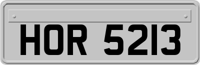 HOR5213