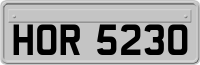 HOR5230