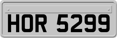 HOR5299