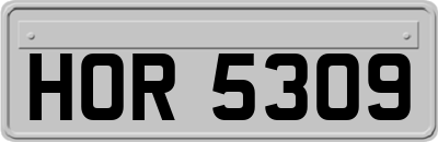 HOR5309