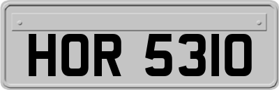 HOR5310