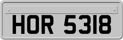 HOR5318