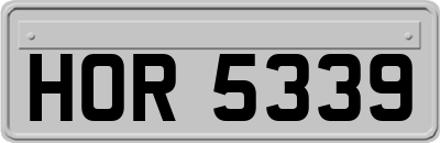 HOR5339