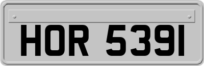 HOR5391