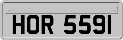 HOR5591