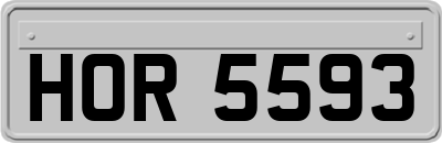 HOR5593