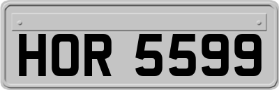 HOR5599