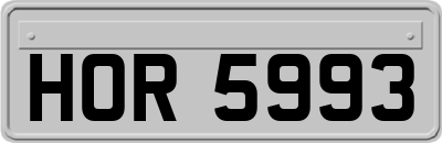 HOR5993