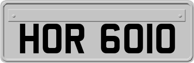 HOR6010