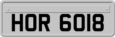 HOR6018