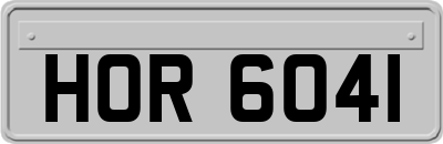 HOR6041