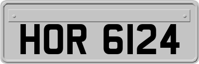 HOR6124