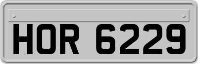 HOR6229