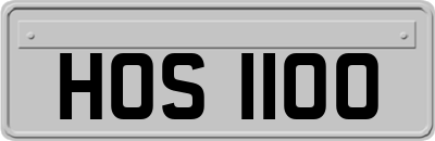 HOS1100