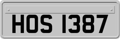 HOS1387