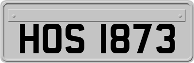 HOS1873