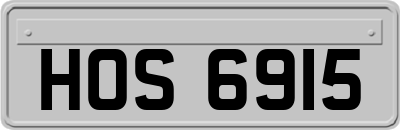 HOS6915