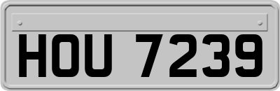 HOU7239