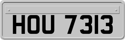 HOU7313