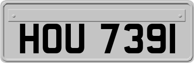 HOU7391