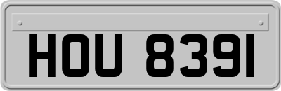 HOU8391