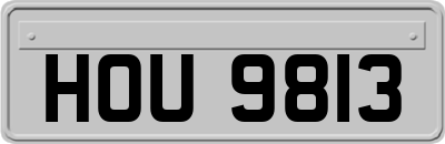 HOU9813