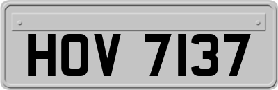 HOV7137