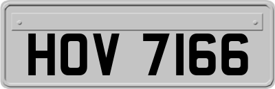 HOV7166