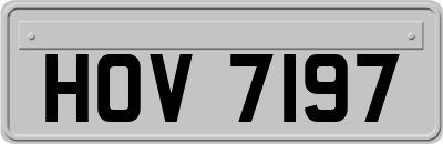 HOV7197