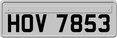 HOV7853