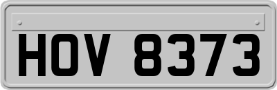 HOV8373