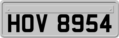 HOV8954
