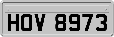 HOV8973