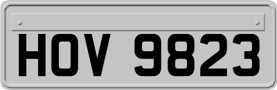 HOV9823