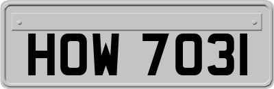 HOW7031