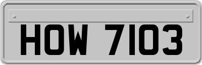 HOW7103