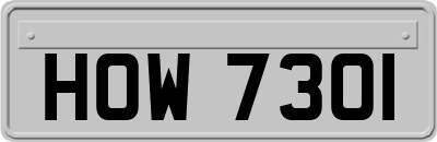 HOW7301